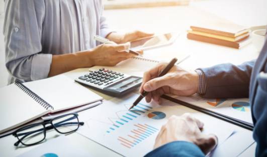 The Audit and Risk Committee - An Introduction