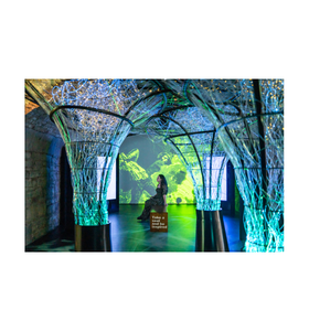 Dublin by Dusk - Late Opening at EPIC The Irish Emigration Museum 