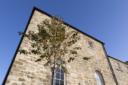 Diploma in Construction Law