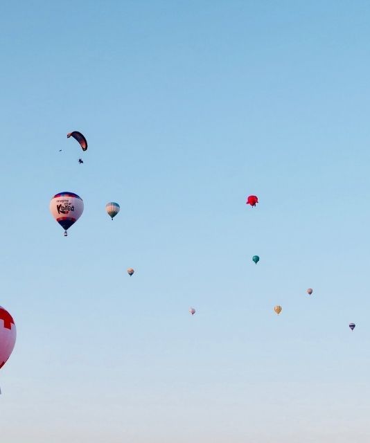 Regulatory Capture On The Rise