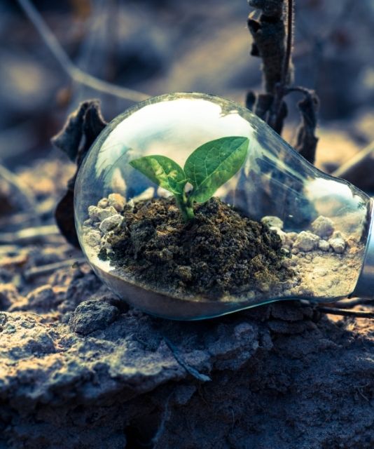 Arthur Cox shortlisted in ﻿Chambers Ireland Sustainable Business Impact Awards 2022