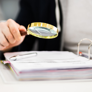 Employment Law: Looking Back on 2024