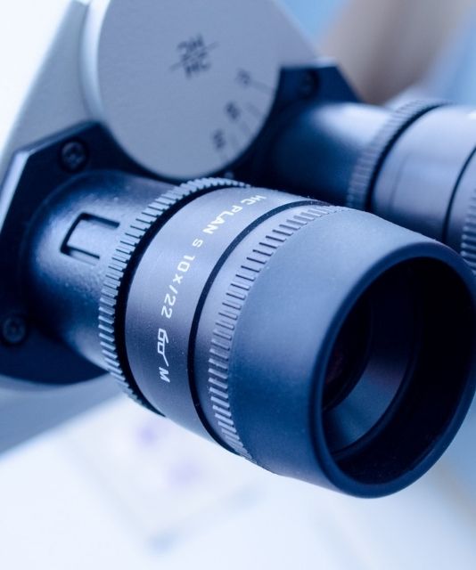 ISIF announces strategic partnership with European life sciences investment firm, Sofinnova Partners