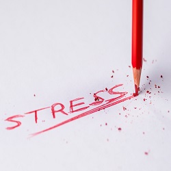 3 in 5 state that they have started suffering from workplace stress this year