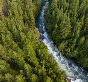 Understanding employee consultation obligations within the CSRD framework