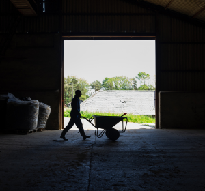 Wheelbarrows and Workplace Risk: The High Court Clarifies the Limits of Employer Liability