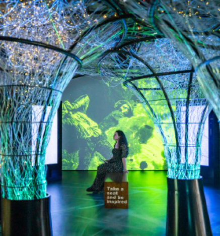 Dublin By Dusk - Late Opening at EPIC Museum