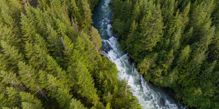 Understanding employee consultation obligations within the CSRD framework here