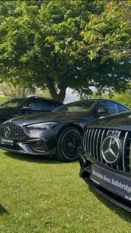 Herbert Park Car Show Brings Automotive Excellence and Community Together